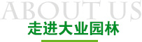 走进万利园林